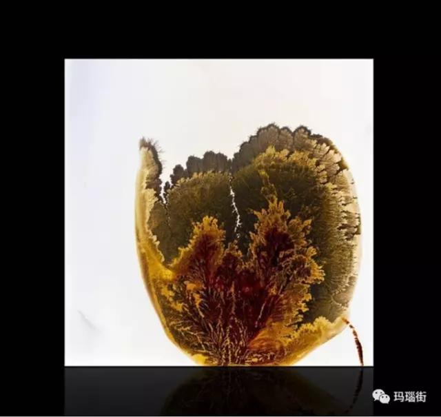 怎么区分玉石和玛瑙玉翡翠玛瑙的原石一样吗-第15张图片-翡翠网 怎么区分玉石和玛瑙玉翡翠玛瑙的原石一样吗-第15张图片-翡翠网