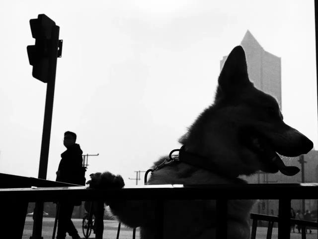 富二代f2抖音app苹果富二代f2d9app入口链接-第4张图片-翡翠网 富二代f2抖音app苹果富二代f2d9app入口链接-第4张图片-翡翠网