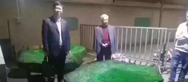 价值百亿的翡翠原石,100亿元帝王绿翡翠原石-第8张图片-翡翠网 价值百亿的翡翠原石,100亿元帝王绿翡翠原石-第8张图片-翡翠网
