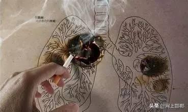 15元钻石香烟6元钻石香烟-第14张图片-翡翠网 15元钻石香烟6元钻石香烟-第14张图片-翡翠网