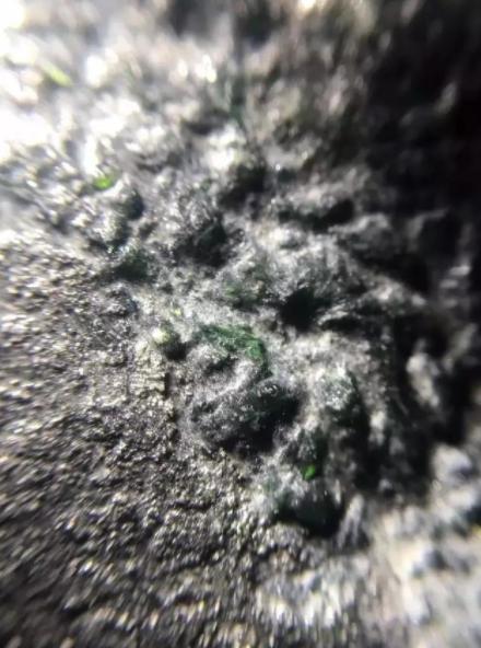 关于翡翠癣夹绿的价格的信息-第2张图片-翡翠网 关于翡翠癣夹绿的价格的信息-第2张图片-翡翠网