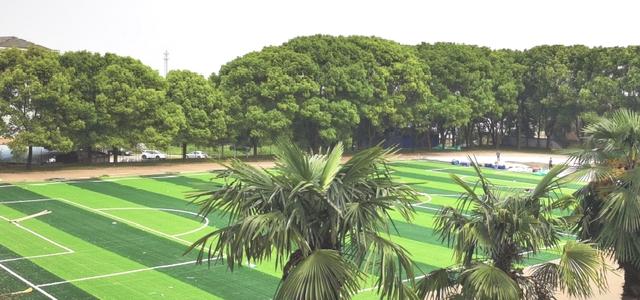 剑灵天阳手镯6段上12大概多少钱翡翠天阳手镯-第6张图片-翡翠网 剑灵天阳手镯6段上12大概多少钱翡翠天阳手镯-第6张图片-翡翠网