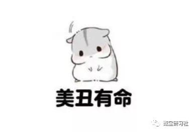 翡翠原石哪里收购,赵本山买翡翠原石-第16张图片-翡翠网 翡翠原石哪里收购,赵本山买翡翠原石-第16张图片-翡翠网