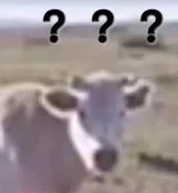 dr最便宜的戒指多少钱,dr戒指-第24张图片-翡翠网 dr最便宜的戒指多少钱,dr戒指-第24张图片-翡翠网