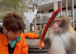 dr最便宜的戒指多少钱,dr戒指-第42张图片-翡翠网 dr最便宜的戒指多少钱,dr戒指-第42张图片-翡翠网