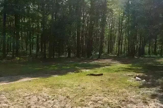 包含翡翠原石怎么开采的词条-第4张图片-翡翠网 包含翡翠原石怎么开采的词条-第4张图片-翡翠网