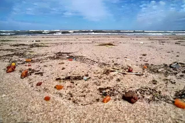 包含翡翠原石怎么开采的词条-第12张图片-翡翠网 包含翡翠原石怎么开采的词条-第12张图片-翡翠网