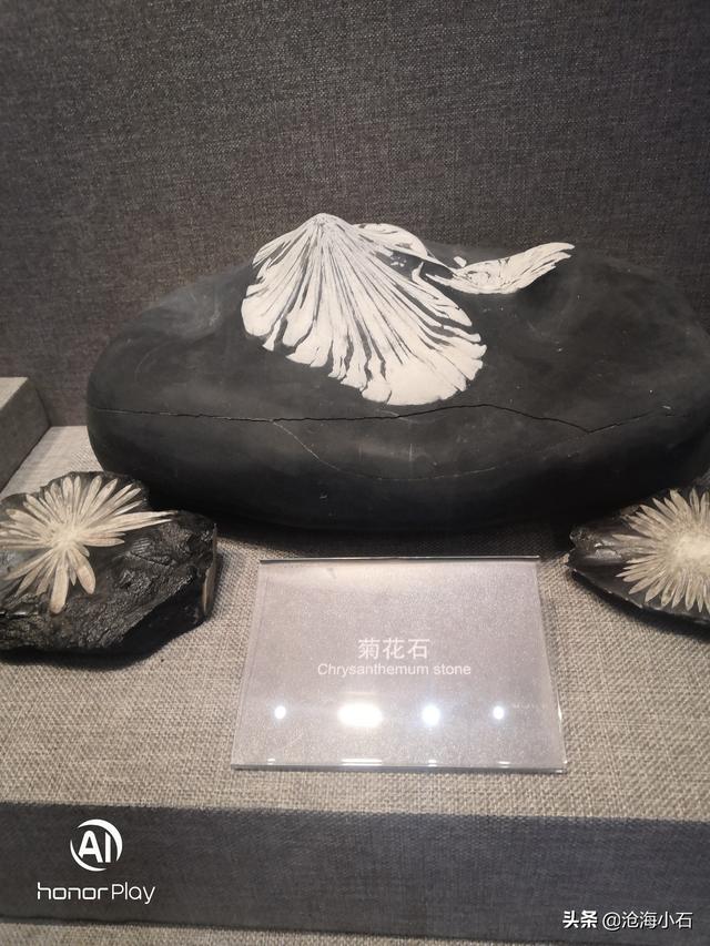 包含蛇皮纹翡翠原石的词条-第2张图片-翡翠网 包含蛇皮纹翡翠原石的词条-第2张图片-翡翠网