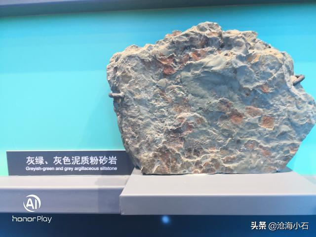 包含蛇皮纹翡翠原石的词条-第3张图片-翡翠网 包含蛇皮纹翡翠原石的词条-第3张图片-翡翠网