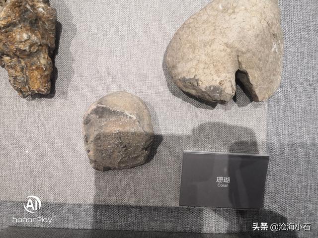 包含蛇皮纹翡翠原石的词条-第4张图片-翡翠网 包含蛇皮纹翡翠原石的词条-第4张图片-翡翠网