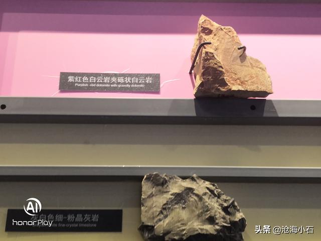 包含蛇皮纹翡翠原石的词条-第11张图片-翡翠网 包含蛇皮纹翡翠原石的词条-第11张图片-翡翠网