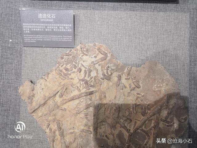 包含蛇皮纹翡翠原石的词条-第22张图片-翡翠网 包含蛇皮纹翡翠原石的词条-第22张图片-翡翠网