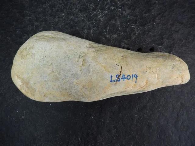 翡翠原石哪里挖,翡翠原石打灯表现-第3张图片-翡翠网 翡翠原石哪里挖,翡翠原石打灯表现-第3张图片-翡翠网