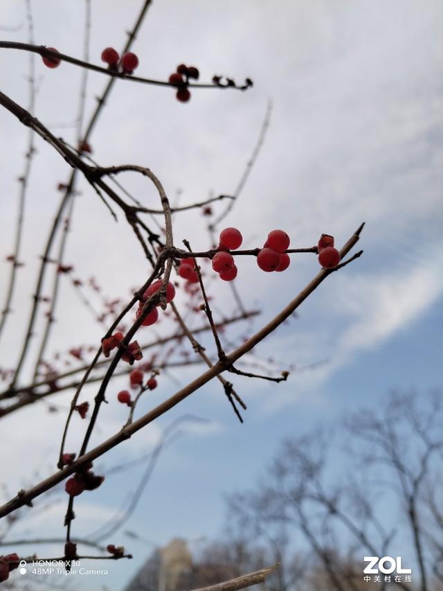 网红陈曦12部曲视频,抖音晨曦51秒视频百度网盘-第14张图片-翡翠网 网红陈曦12部曲视频,抖音晨曦51秒视频百度网盘-第14张图片-翡翠网
