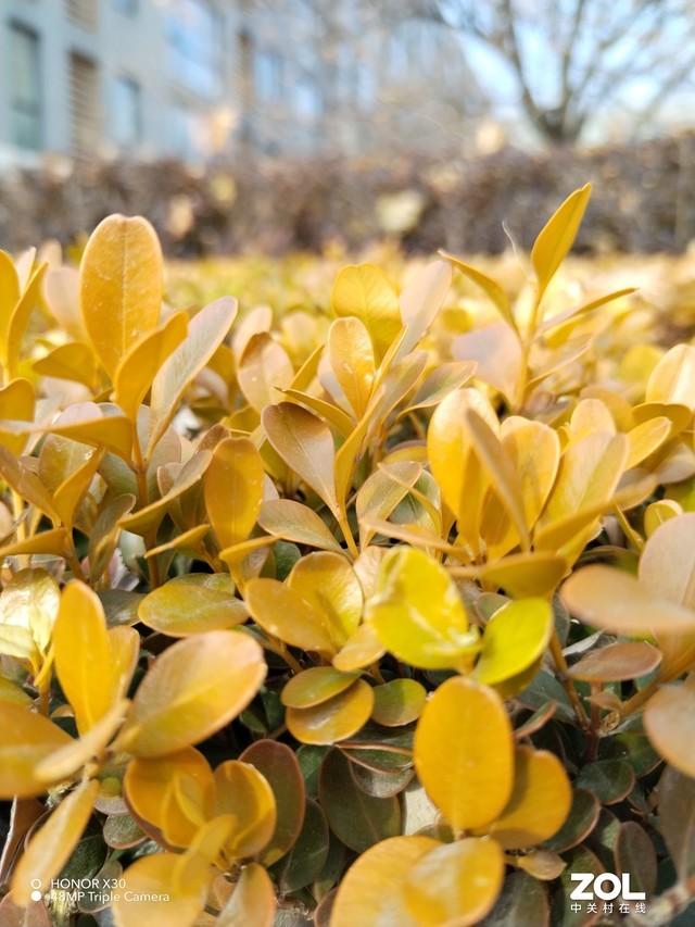 网红陈曦12部曲视频,抖音晨曦51秒视频百度网盘-第16张图片-翡翠网 网红陈曦12部曲视频,抖音晨曦51秒视频百度网盘-第16张图片-翡翠网