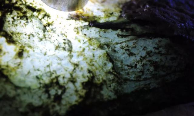 翡翠原石练手料盲盒,翡翠原石多少一公斤-第3张图片-翡翠网 翡翠原石练手料盲盒,翡翠原石多少一公斤-第3张图片-翡翠网