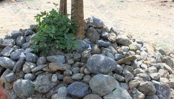 翡翠原石练手料盲盒,翡翠原石多少一公斤-第8张图片-翡翠网 翡翠原石练手料盲盒,翡翠原石多少一公斤-第8张图片-翡翠网