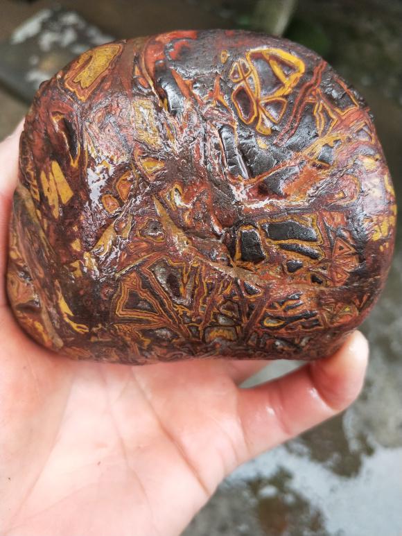 温江翡翠原石吧温江光华瑞廷-第8张图片-翡翠网 温江翡翠原石吧温江光华瑞廷-第8张图片-翡翠网