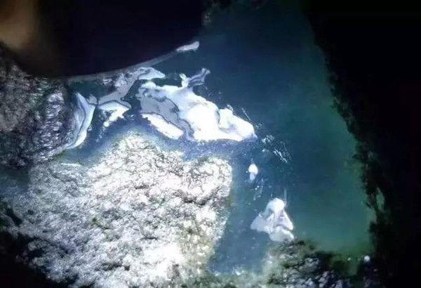 龙珠莫西沙翡翠原石图片莫西沙黄沙皮翡翠原石-第2张图片-翡翠网 龙珠莫西沙翡翠原石图片莫西沙黄沙皮翡翠原石-第2张图片-翡翠网