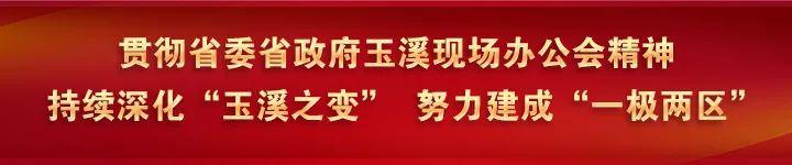 红塔山翡翠烟价格,三千块一包的翡翠烟-第1张图片-翡翠网 红塔山翡翠烟价格,三千块一包的翡翠烟-第1张图片-翡翠网