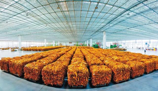 红塔山翡翠烟价格,三千块一包的翡翠烟-第10张图片-翡翠网 红塔山翡翠烟价格,三千块一包的翡翠烟-第10张图片-翡翠网