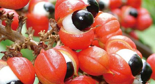 黄皮翡翠手镯切法,翡翠原石十大场口详解-第7张图片-翡翠网 黄皮翡翠手镯切法,翡翠原石十大场口详解-第7张图片-翡翠网