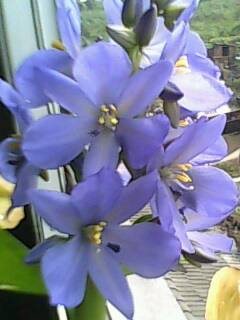 关于宝瑞源翡翠手镯多少钱一只的信息-第2张图片-翡翠网 关于宝瑞源翡翠手镯多少钱一只的信息-第2张图片-翡翠网