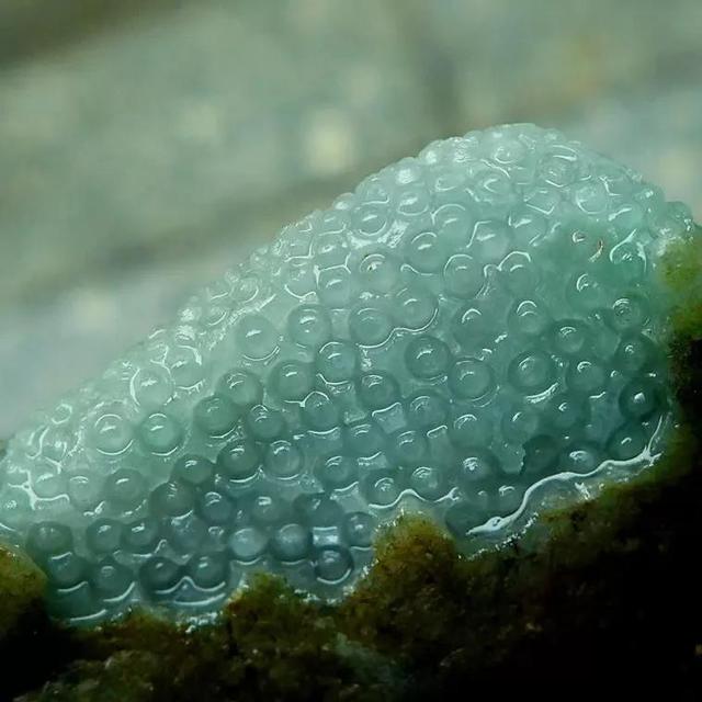 翡翠原石什么场口裂最少最不好的翡翠原石-第2张图片-翡翠网 翡翠原石什么场口裂最少最不好的翡翠原石-第2张图片-翡翠网