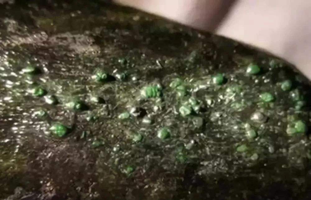 怎么查询翡翠的价格翡翠原石的纪录片-第1张图片-翡翠网 怎么查询翡翠的价格翡翠原石的纪录片-第1张图片-翡翠网