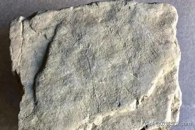 黄梨皮翡翠原石图片白盐沙赌石最好的皮壳-第5张图片-翡翠网 黄梨皮翡翠原石图片白盐沙赌石最好的皮壳-第5张图片-翡翠网