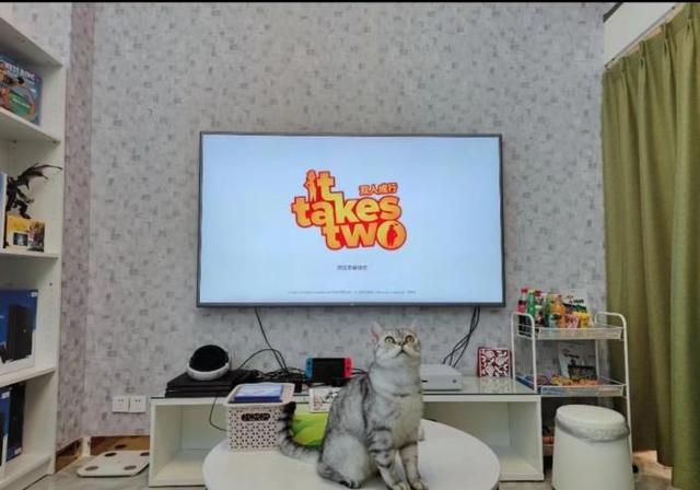 钻石小鸟官网首页周大福和钻石小鸟谁好-第4张图片-翡翠网 钻石小鸟官网首页周大福和钻石小鸟谁好-第4张图片-翡翠网