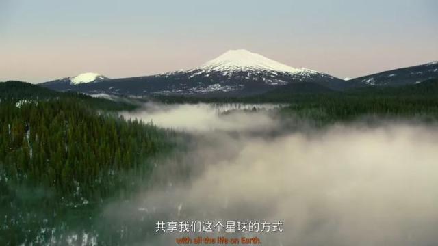 翡翠**下载正版,翡翠**游戏破解版下载-第26张图片-翡翠网 翡翠**下载正版,翡翠**游戏破解版下载-第26张图片-翡翠网