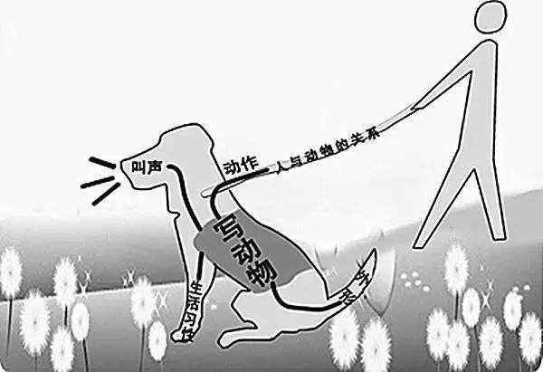 行文悟道翡翠知识,知道悟道行道-第4张图片-翡翠网 行文悟道翡翠知识,知道悟道行道-第4张图片-翡翠网