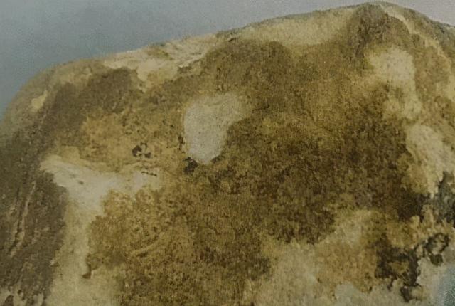 翡翠原石公斤料是什么意思,翡翠原石口料配方-第22张图片-翡翠网 翡翠原石公斤料是什么意思,翡翠原石口料配方-第22张图片-翡翠网