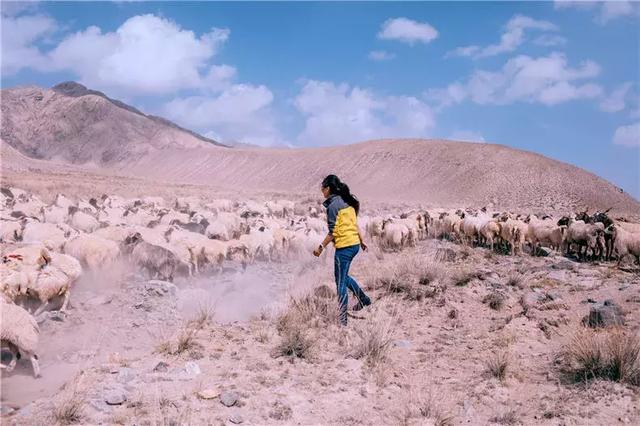 大马坎翡翠原石,翡翠原石莫西-第3张图片-翡翠网 大马坎翡翠原石,翡翠原石莫西-第3张图片-翡翠网