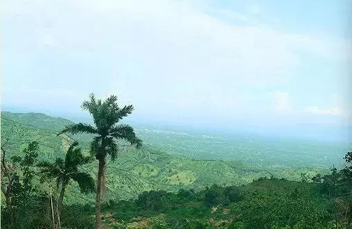大马坎翡翠原石,翡翠原石莫西-第25张图片-翡翠网 大马坎翡翠原石,翡翠原石莫西-第25张图片-翡翠网