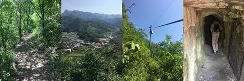 大马坎翡翠原石,翡翠原石莫西-第35张图片-翡翠网 大马坎翡翠原石,翡翠原石莫西-第35张图片-翡翠网