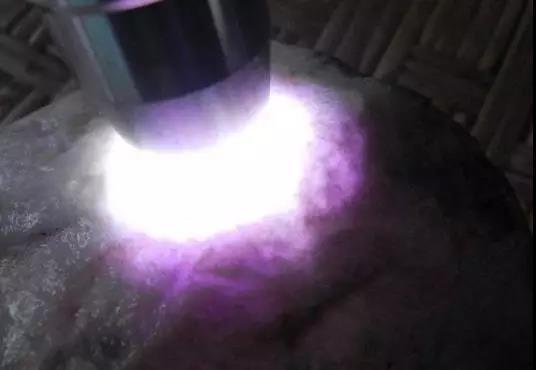 翡绿翡翠手镯图片翡翠手镯阳绿价格-第6张图片-翡翠网 翡绿翡翠手镯图片翡翠手镯阳绿价格-第6张图片-翡翠网