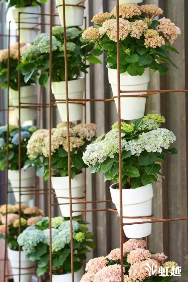 魔幻翡翠知识,哪里的翡翠比较好-第7张图片-翡翠网 魔幻翡翠知识,哪里的翡翠比较好-第7张图片-翡翠网