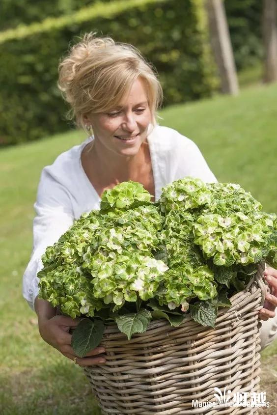 魔幻翡翠知识,哪里的翡翠比较好-第11张图片-翡翠网 魔幻翡翠知识,哪里的翡翠比较好-第11张图片-翡翠网