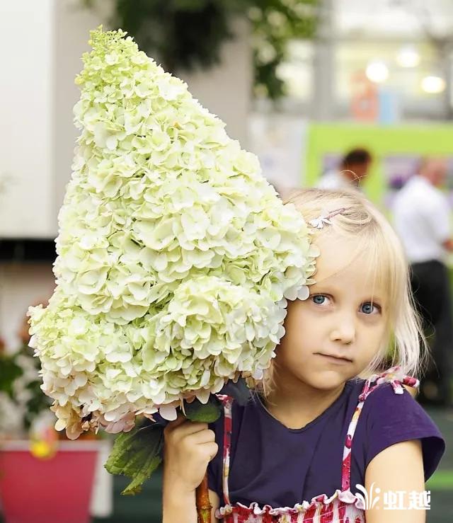 魔幻翡翠知识,哪里的翡翠比较好-第24张图片-翡翠网 魔幻翡翠知识,哪里的翡翠比较好-第24张图片-翡翠网