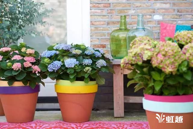 魔幻翡翠知识,哪里的翡翠比较好-第32张图片-翡翠网 魔幻翡翠知识,哪里的翡翠比较好-第32张图片-翡翠网