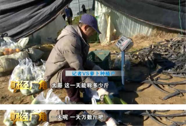 帝王绿翡翠的价格,水果绿翡翠价格-第1张图片-翡翠网 帝王绿翡翠的价格,水果绿翡翠价格-第1张图片-翡翠网