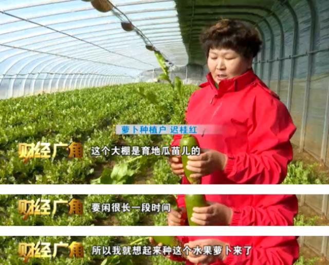 帝王绿翡翠的价格,水果绿翡翠价格-第2张图片-翡翠网 帝王绿翡翠的价格,水果绿翡翠价格-第2张图片-翡翠网