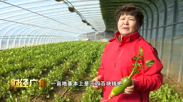 帝王绿翡翠的价格,水果绿翡翠价格-第3张图片-翡翠网 帝王绿翡翠的价格,水果绿翡翠价格-第3张图片-翡翠网