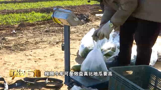 帝王绿翡翠的价格,水果绿翡翠价格-第4张图片-翡翠网 帝王绿翡翠的价格,水果绿翡翠价格-第4张图片-翡翠网