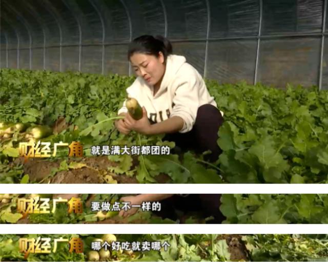 帝王绿翡翠的价格,水果绿翡翠价格-第6张图片-翡翠网 帝王绿翡翠的价格,水果绿翡翠价格-第6张图片-翡翠网