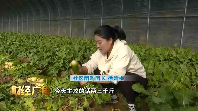 帝王绿翡翠的价格,水果绿翡翠价格-第7张图片-翡翠网 帝王绿翡翠的价格,水果绿翡翠价格-第7张图片-翡翠网