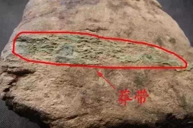 翡翠原石黑沙粒,翡翠的原石在哪里-第6张图片-翡翠网 翡翠原石黑沙粒,翡翠的原石在哪里-第6张图片-翡翠网