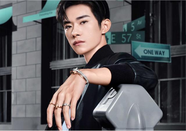 赵薇带的翡翠手镯,2万的翡翠手镯-第16张图片-翡翠网 赵薇带的翡翠手镯,2万的翡翠手镯-第16张图片-翡翠网